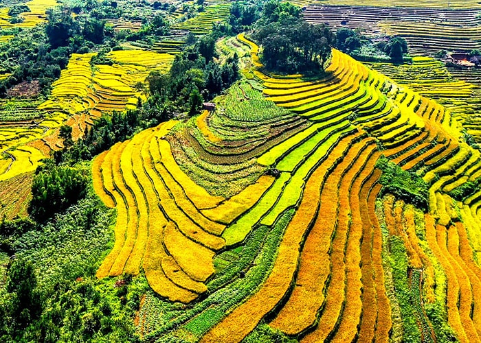 Du lịch Bình Liêu, Quảng Ninh: Top 17 địa điểm nổi tiếng