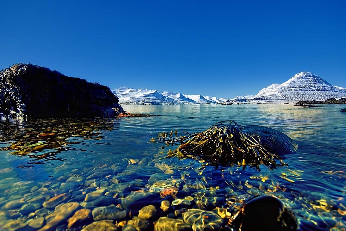Lựa chọn thời điểm đẹp nhất du lịch Iceland