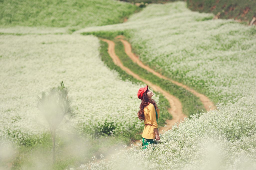 cao nguyên đá đồng văn, hà giang, địa điểm chụp ảnh cưới, đồi chè mộc châu, ngọt ngào kỷ niệm chụp ảnh cưới trên cao nguyên