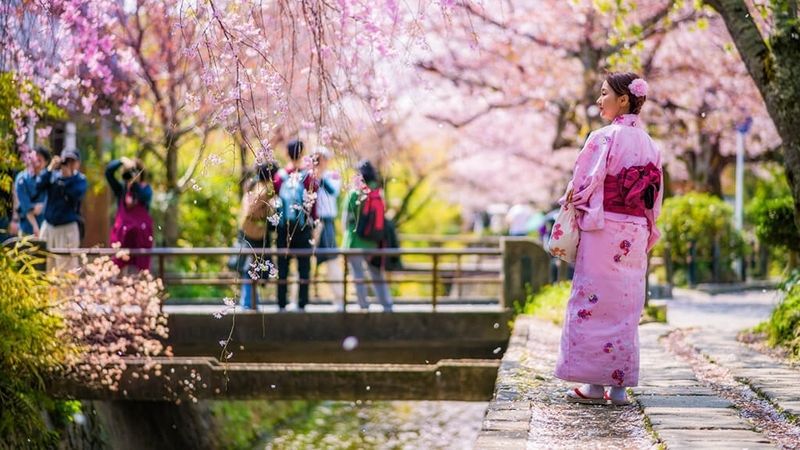 top địa điểm du lịch nổi tiếng nhất tại kyoto - nh, các địa điểm du lịch nổi tiếng nhất tại kyoto - nh, địa điểm du lịch nổi tiếng nhất tại kyoto - nhật b, 10 địa điểm du lịch nổi tiếng nhất tại kyoto - nhật bản