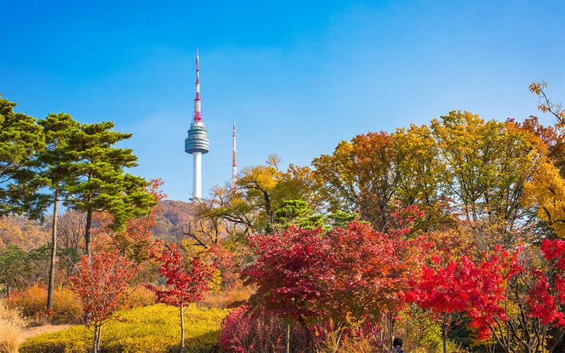 Điểm qua 10 địa điểm du lịch đẹp, nổi tiếng nhất tại Hàn Quốc