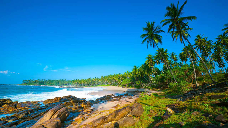kinh nghiệm du lịch sri lanka an toàn, kinh nghiệm du lịch sri lanka giá rẻ, kinh nghiệm du lịch sri lanka, kinh nghiệm du lịch sri lanka an toàn, giá rẻ và cực lý thú