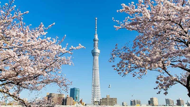 Danh sách 10 địa điểm du lịch hấp dẫn nhất tại Tokyo - Nhật Bản