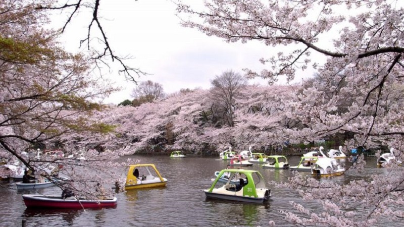 top địa điểm du lịch hấp dẫn nhất tại tokyo, các địa điểm du lịch hấp dẫn nhất tại tokyo, địa điểm du lịch hấp dẫn nhất tại tokyo, danh sách 10 địa điểm du lịch hấp dẫn nhất tại tokyo - nhật bản