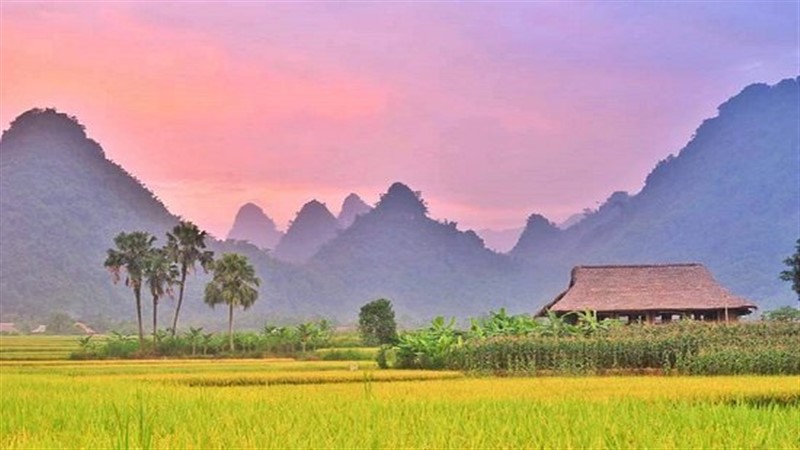 7 khu du lịch Farmstay ở Việt Nam, giúp bạn có được những trải nghiệm đáng nhớ