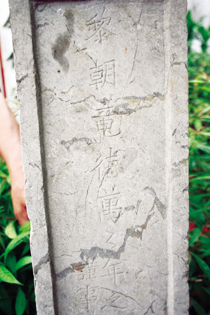 cây hương đá cổ - biểu tượng quý giá của văn hóa việt nam