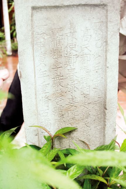 cây hương đá cổ - biểu tượng quý giá của văn hóa việt nam