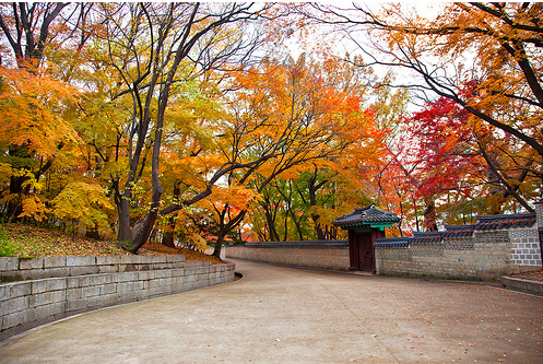 Dạo quanh Seoul thưởng thức văn hóa xứ củ sâm