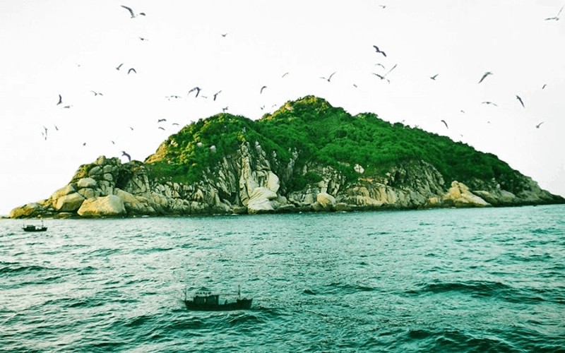 kinh nghiệm hay tại bachhoaxanh, 10 hòn đảo 'xanh sạch đẹp' với làn nước trong veo ở việt nam