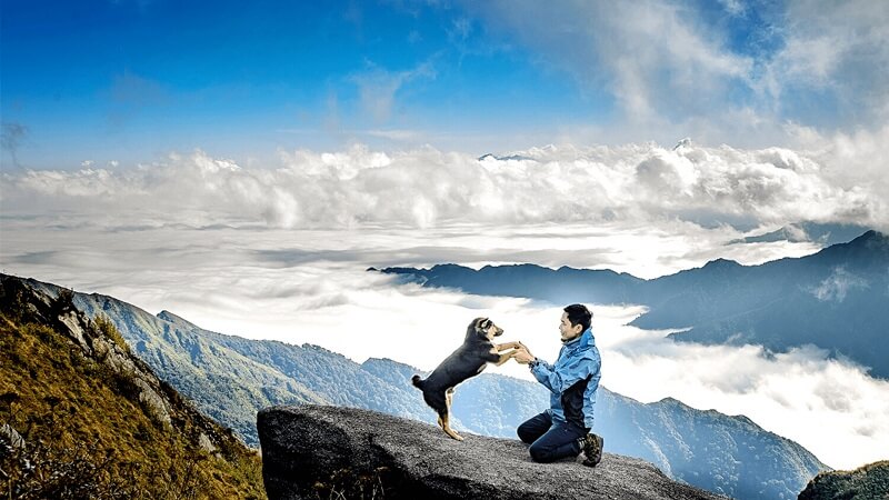 kinh nghiệm hay tại bachhoaxanh, 9 ngọn núi trekking lý tưởng nhất ở việt nam