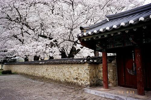 vẻ đẹp thời gian ở cố đô gyeongju, hàn quốc