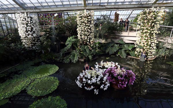 Đến lễ hội hoa Kew thỏa sức chiêm ngưỡng hoa lan