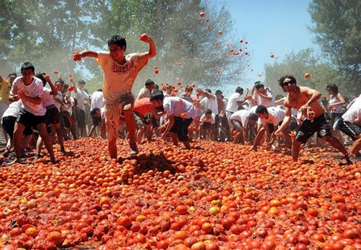 Phấn khích với lễ hội cà chua ở Quillon, Chile