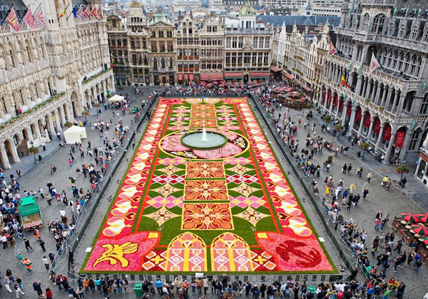 Choáng ngợp thảm hoa khổng lồ ở Brussel