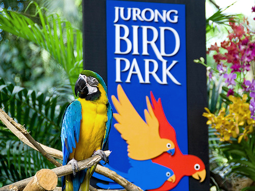 Tham quan vườn chim lớn nhất Châu Á