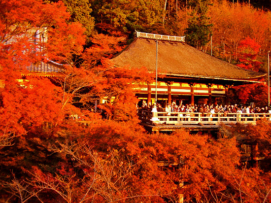 tới thăm ngôi chùa đẹp nhất ở kyoto, nhật bản