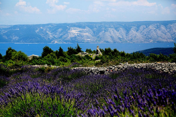 bạn đã biết cảnh đẹp nổi tiếng ở croatia?