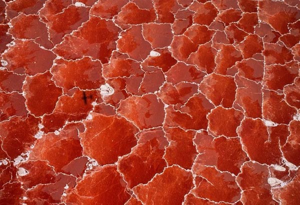 Ngạc nhiên với hồ muối như được ghép từ trăm kính đỏ