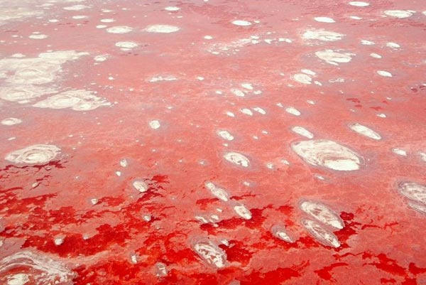 ngạc nhiên với hồ muối như được ghép từ trăm kính đỏ