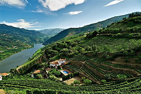 Đến thung lũng nho Douro tận hưởng vang Porto