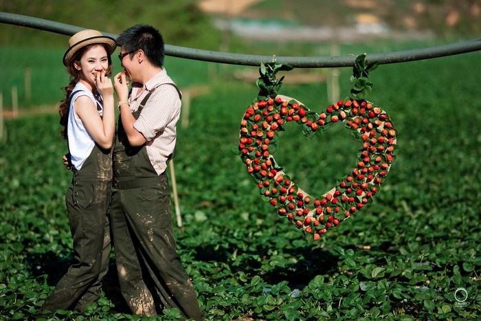 Top 5 địa điểm ngọt ngào nhất Việt Nam cho các cặp đôi