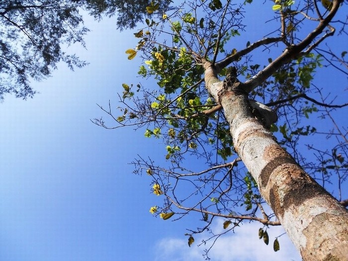 cảnh đẹp huế, cầu trường tiền, chùa thiên mụ, du lịch ngày xuân, kinh thành huế, lăng khải định, đặc sản huế, đại nội huế, 5 lý do nên chọn huế làm điểm du xuân 2015