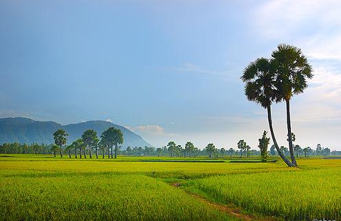 Một chuyến khám phá Châu Đốc - ALONGWALKER