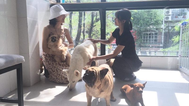8 quán cafe thú cưng được các tín đồ mê cún check-in nhiều nhất ở Sài Gòn