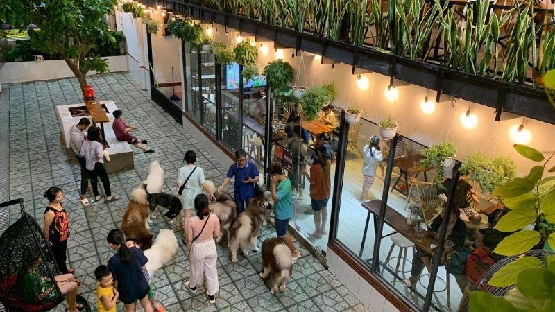 quán cafe thú cưng ở sài gòn, 8 quán cafe thú cưng được các tín đồ mê cún check-in nhiều nhất ở sài gòn
