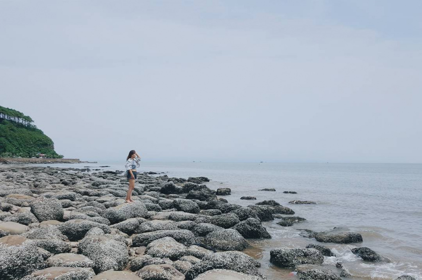 Đảo Hòn Dấu – biển Đồ Sơn, đóa hoa rực rỡ giữa miền đất cảng Hải Phòng