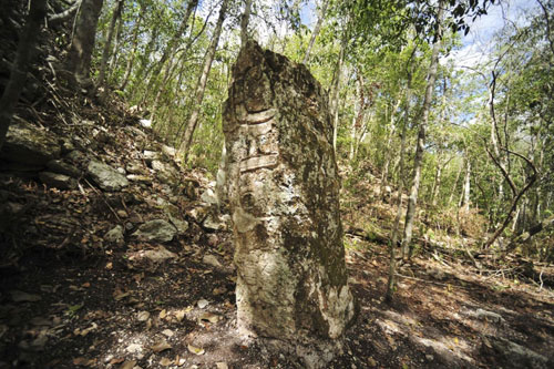 phát hiện thành phố cổ maya trong rừng rậm mexico