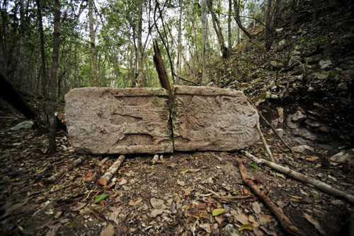 phát hiện thành phố cổ maya trong rừng rậm mexico