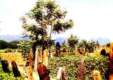 Khám phá mộ cổ “ma khô” ở Hòa Bình