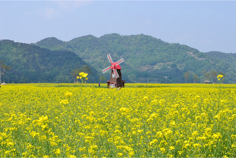 Những thiên đường du lịch xanh ở Hàn Quốc