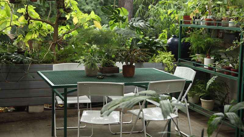 quán cafe xanh ở sài gòn, 5 quán cafe xanh ở sài gòn có không gian mở, nhiều cây xanh hòa với thiên nhiên