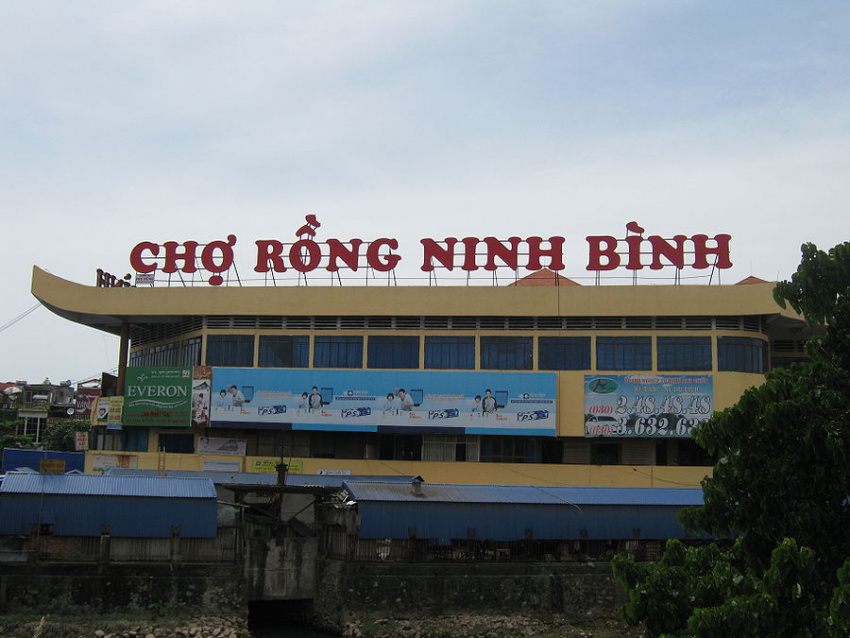 du ngoạn chợ rồng, ninh bình