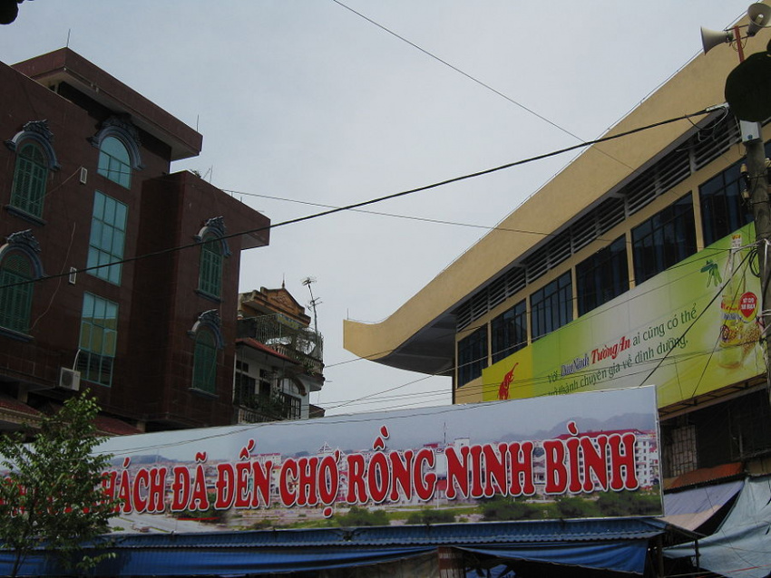 du ngoạn chợ rồng, ninh bình