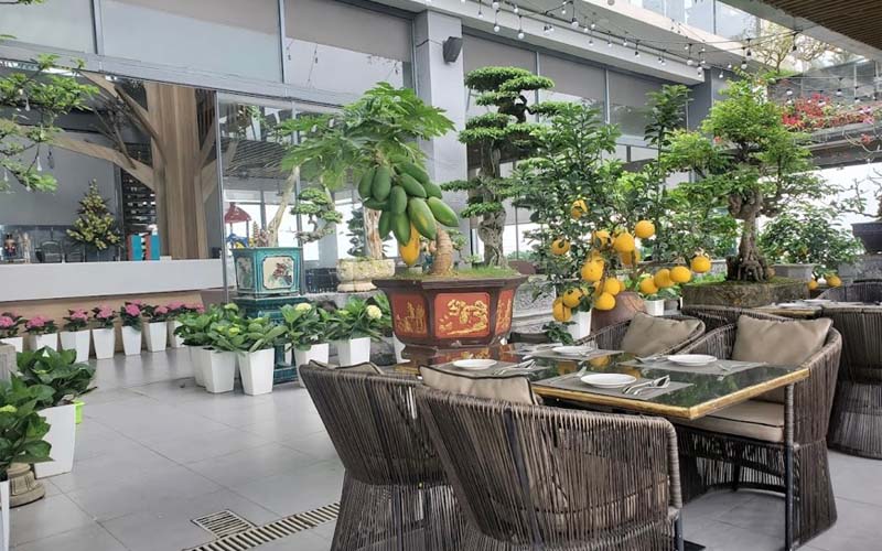 kinh nghiệm hay tại bachhoaxanh, 10 quán rooftop cafe hà nội giúp bạn ngắm nhìn vẻ đẹp có 1-0-2 của thủ đô hà nội