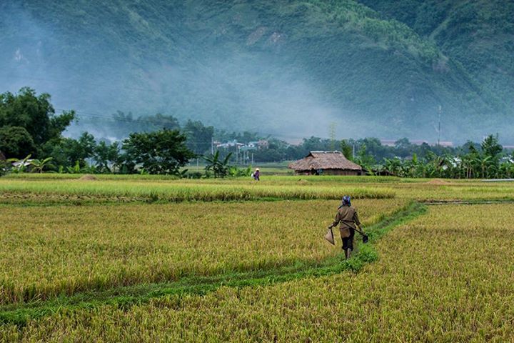 7 địa điểm được du khách yêu thích nhất tuần qua