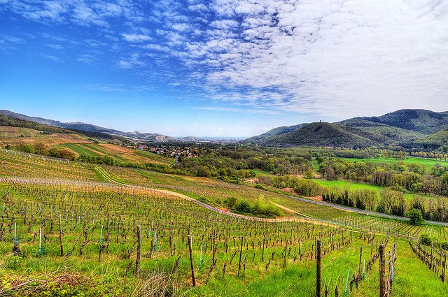 10 vùng sản xuất rượu vang đẹp nhất nước pháp