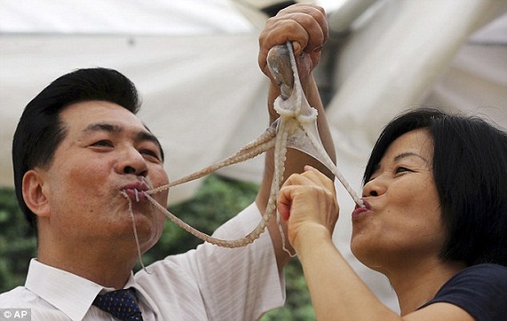 Rùng mình lễ hội ăn bạch tuộc sống ở Hàn Quốc