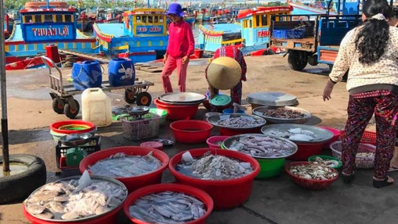 kinh nghiệm hay tại bachhoaxanh, điểm danh 5 chợ hải sản vũng tàu tươi ngon, siêu rẻ, vệ sinh