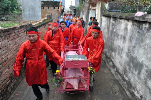 Những lễ hội dã man nhất Việt Nam