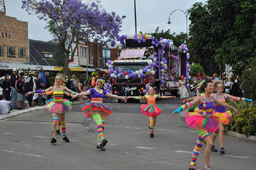 lễ hội hoa phượng tím rực rỡ lâu đời ở australia