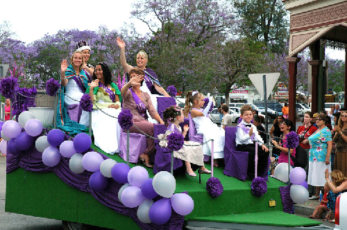 lễ hội hoa phượng tím rực rỡ lâu đời ở australia