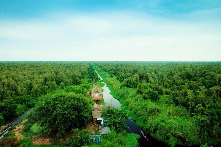 Trải nghiệm cuộc sống hoang dã nơi rừng rậm U Minh Hạ