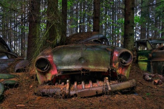 ám ảnh nghĩa địa xe hơi trong khu rừng xanh ở bỉ