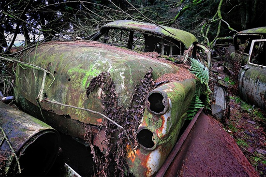 ám ảnh nghĩa địa xe hơi trong khu rừng xanh ở bỉ
