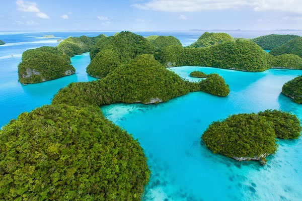 Đẹp mê hồn sắc xanh trên đảo Palau