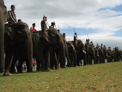 sôi động lễ hội đua voi ở tây nguyên